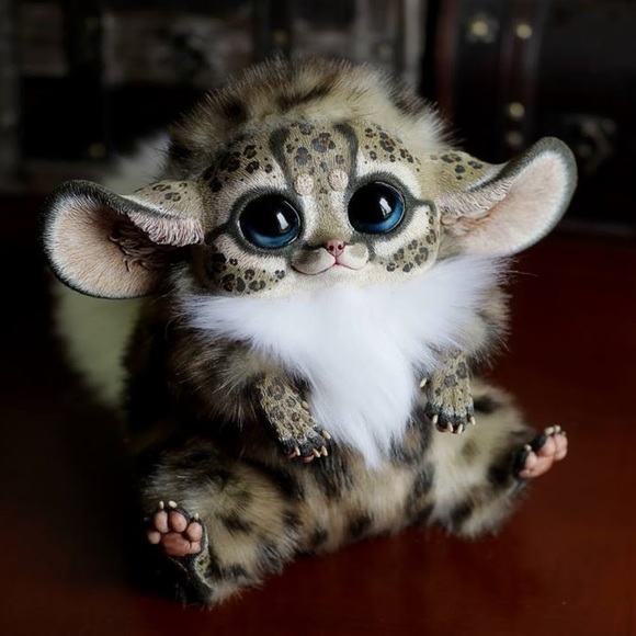 Meet your Posher, Lucy - Picture 1 of 1